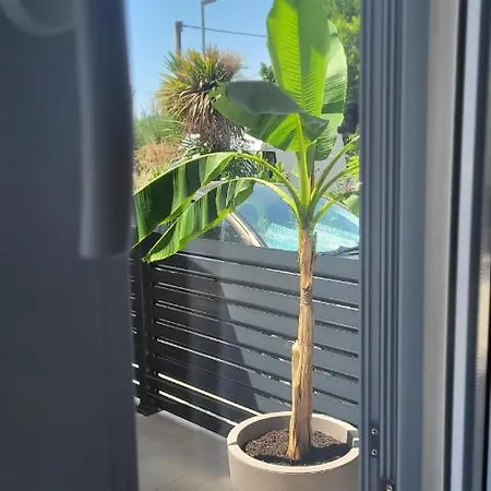 Apartment Sur La Terrace *
